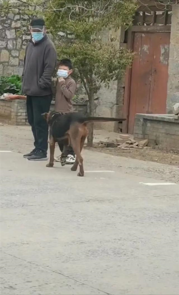 男孩坐在狗狗身上排队做核酸 网友：小心结婚那天下雨